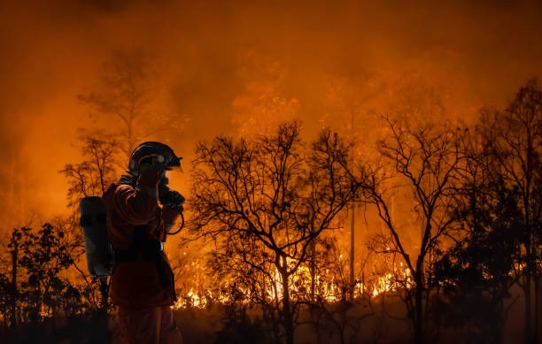 Firefighter in California