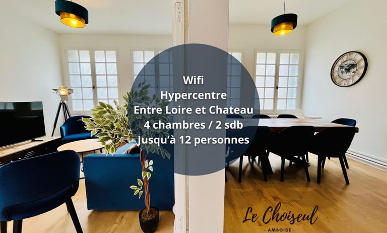 Gite à Amboise sous le château 