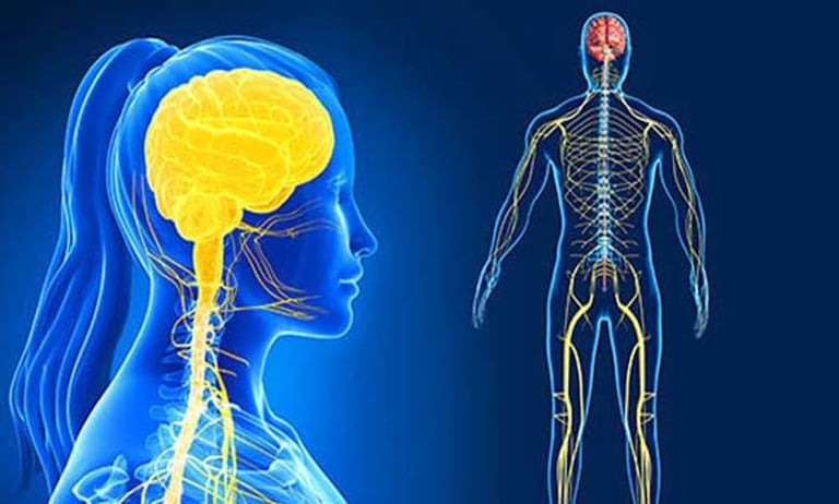 a woman's head and shoulders with a brain map of the brain