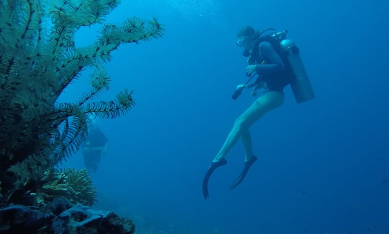 Rescue dive course session in Bali #RescueDive #PADIArabic