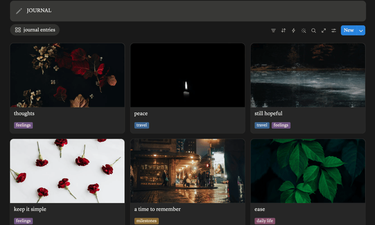 Digital journal dashboard featuring a gallery of mood-based entries with aesthetic nature and city photography.