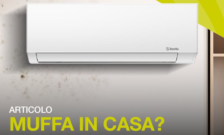 Beretta Climatizzazione Air Gas