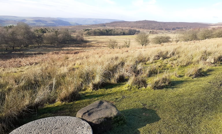 Looking out over Longshaw estate to Higger Tor, wwinter sunshine and bare trees. Millstone in foreground