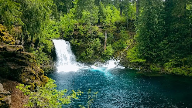 Eugene - Tamolitch Falls plunges into a 30 feet deep blue-turquoise pool