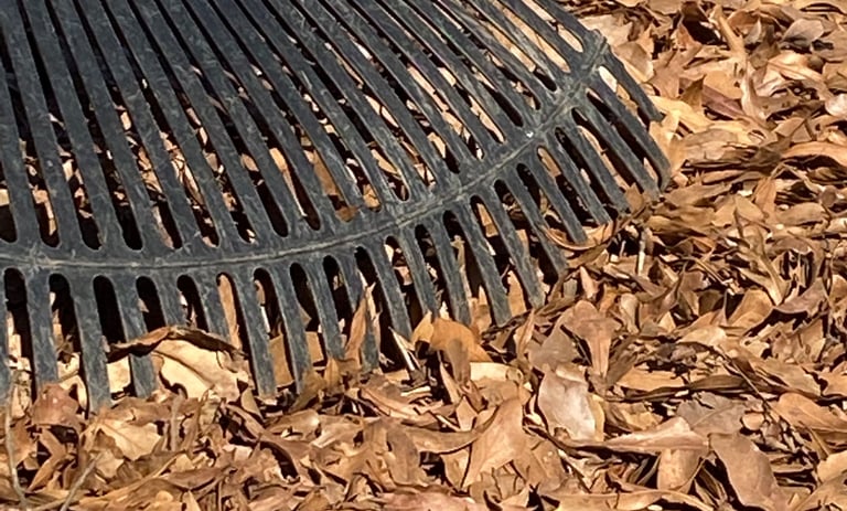 Black rake resting over fall leaves.