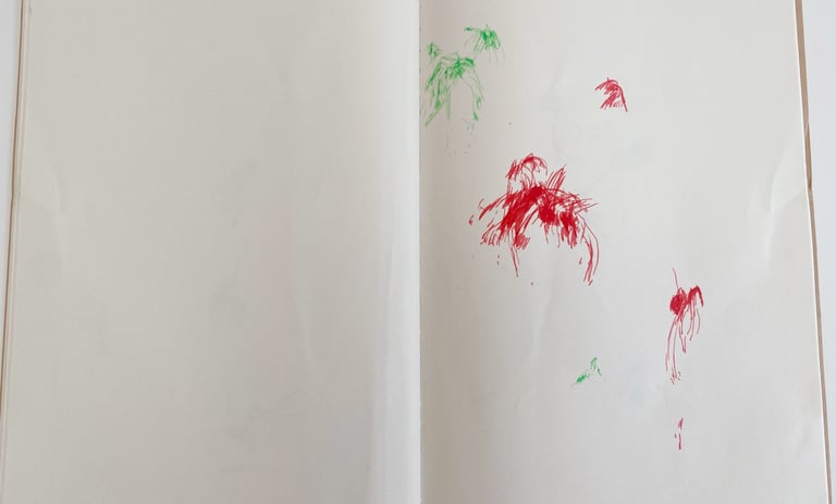 Marine Bikard Carnet d'allaitement Galerie MAxime Allain partition du dehors