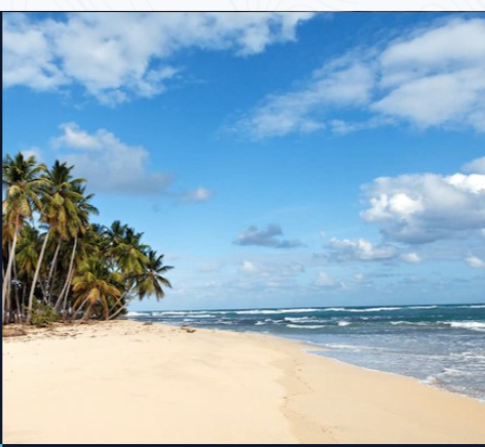 Nestle Sahyadri Beachfront Homestay Murdeshwar