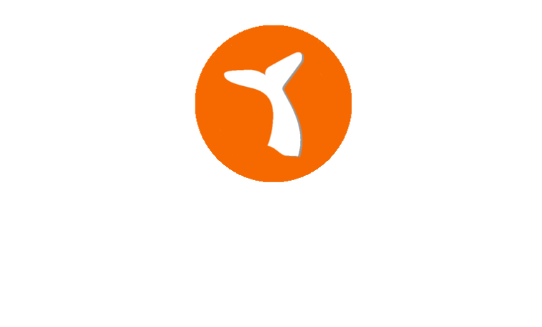 WTT Sailing