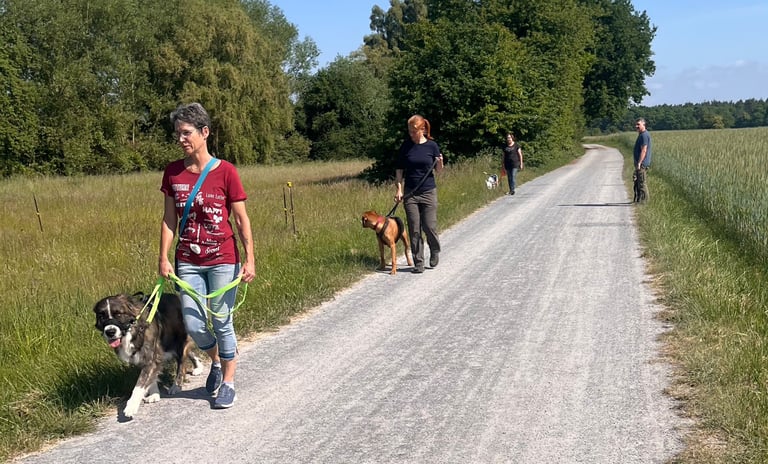 Social walk mit Marissa von RIKA Hundetraining in Wiesental