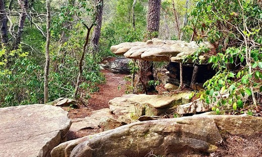 Fall Creek Falls, Pikeville - Walk down the stones to see a big rock hand, Lower Loop Trail