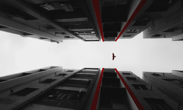 a bird flying over a building