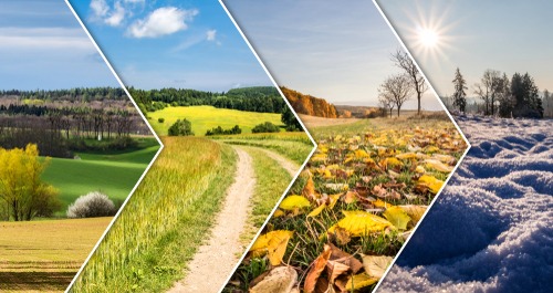A landscape collage showing the transition of four seasons from spring and summer to autumn and winter.