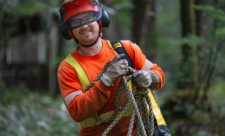 Team Member