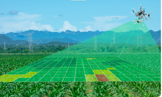servicios de drones agrícolas