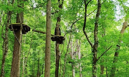 Knoxville, Tennessee Travel - Navitat Canopy Adventure with zipline & obstacle course at Ijams