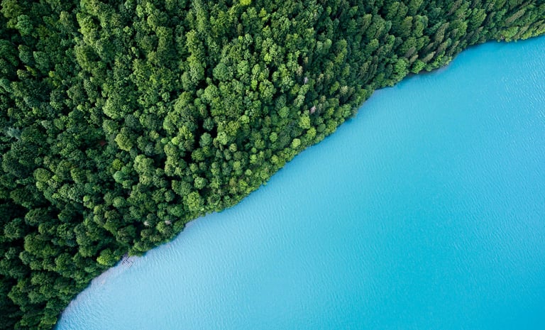 water near a forest