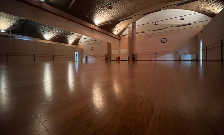 palestra della scuola di danza sister's dance