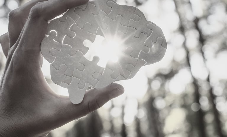 a person holding a brain shaped puzzle with a missing piece through which the sun shines