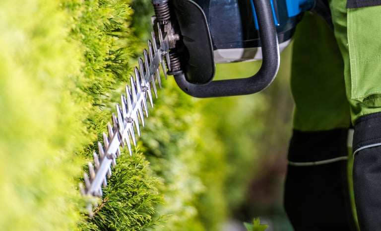 rowen hedge cutting devon