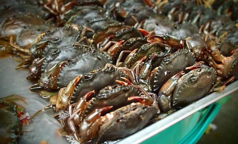seafood supplier