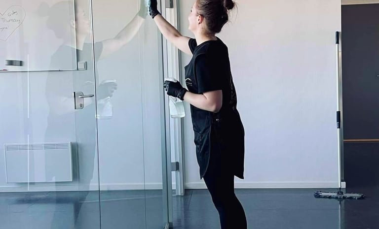 Henaris profesionalus langų valymas Klaipėdoje ir pajūryje