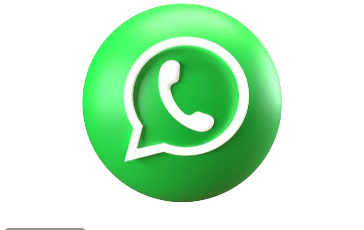 WhatsApp booking icon for Pac Tour Excursions Bayahibe excursions