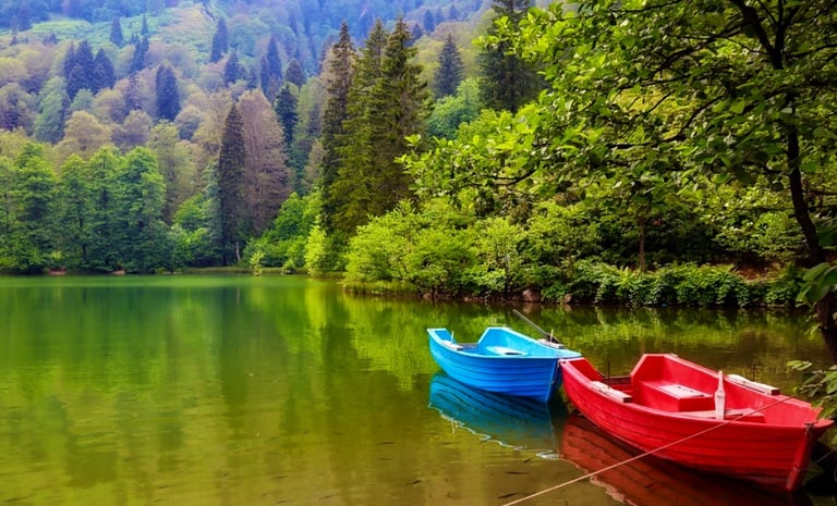 Artvin: Borçka Karagöl | Türkiye Gezi Rehberi