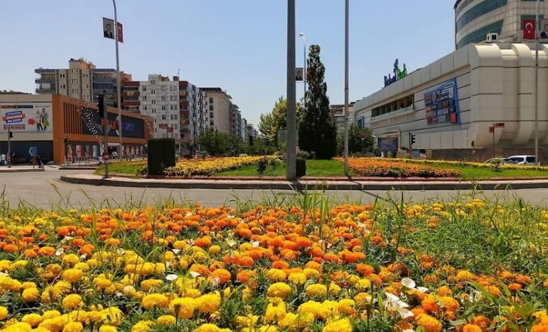 Ailece gezilecek keyifli rotalar