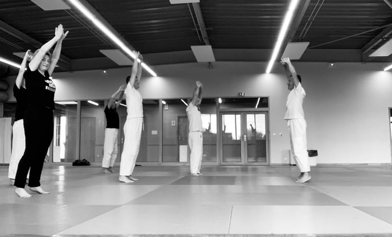 aïki taïso au baisieux arts martiaux