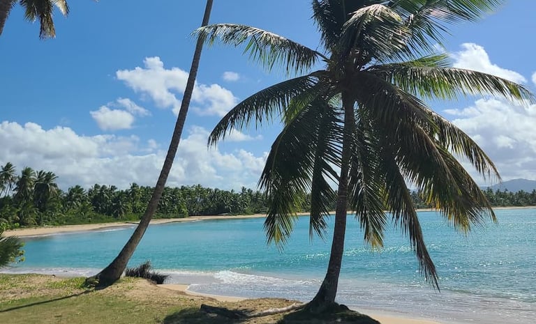 Playa Esmeralda Beach