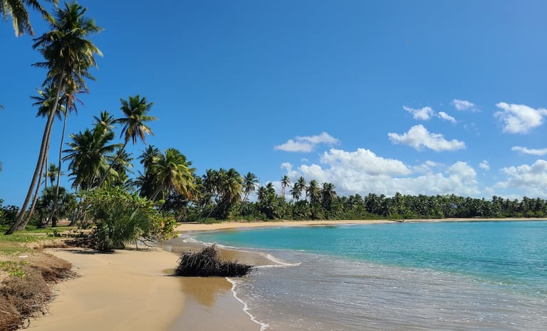 Playa Esmeralda Beach