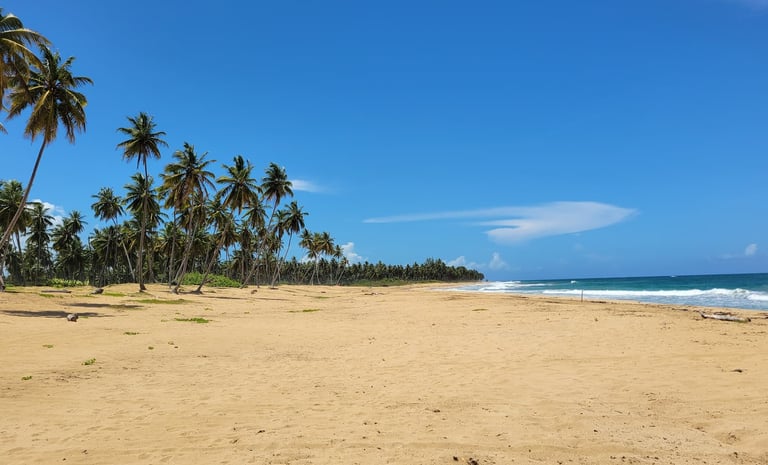 Playa El Limon Beach