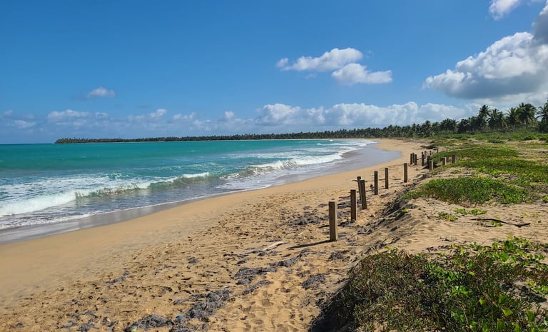 Playa Esmeralda Beach
