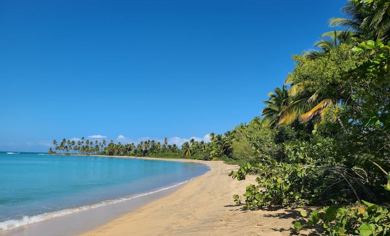 Playa Esmeralda Beach