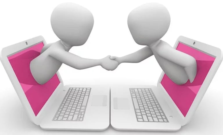 Internet consultations using the internet