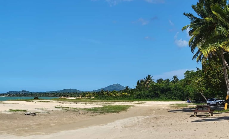 Playa Arriba: The Wild Pearl of Miches