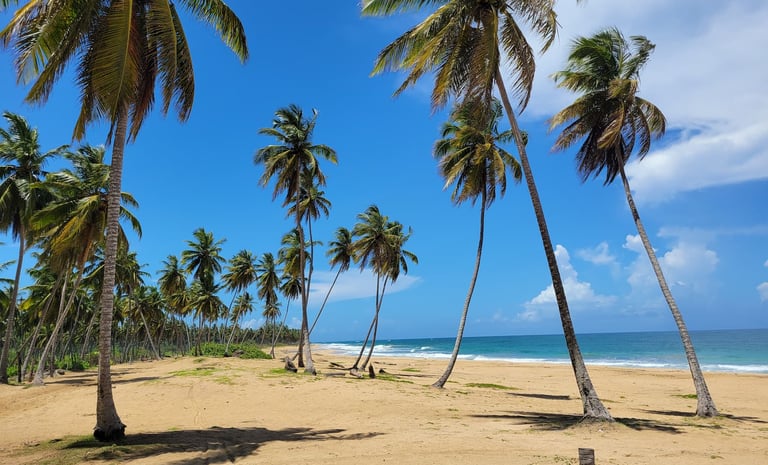 Playa El Limon Beach
