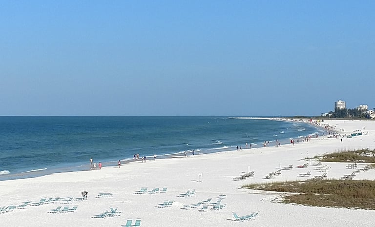 siesta key beach on a clear and sunny day