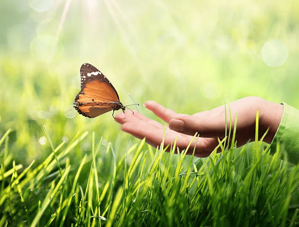 safe trauma processing and memory integration