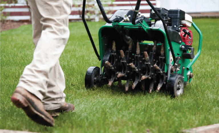Professional lawn aeration service in Cary relieving compacted soil for healthier grass growth