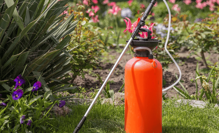 Professional lawn spraying service in Cary applying fertilizer and weed control treatment to lawn