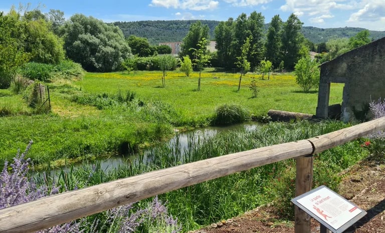 A Saint-Paul-Trois-Châteaux, non loin du mas de l'Enclos du Soleil le Vent, on peut faire de nombreuses promenades