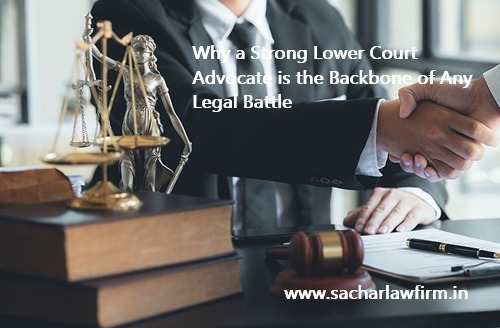 Why a Strong Lower Court Advocate is the Backbone of Any Legal Battle
