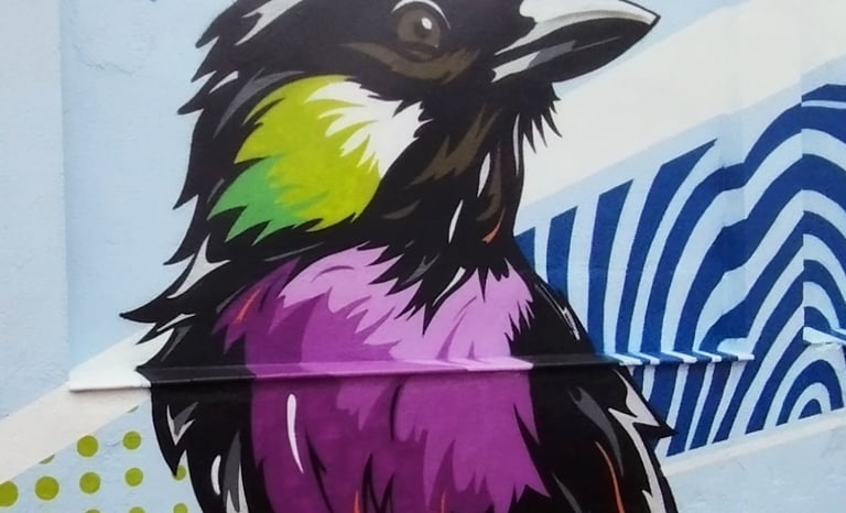 graffiti mural escuela pájaros naturaleza