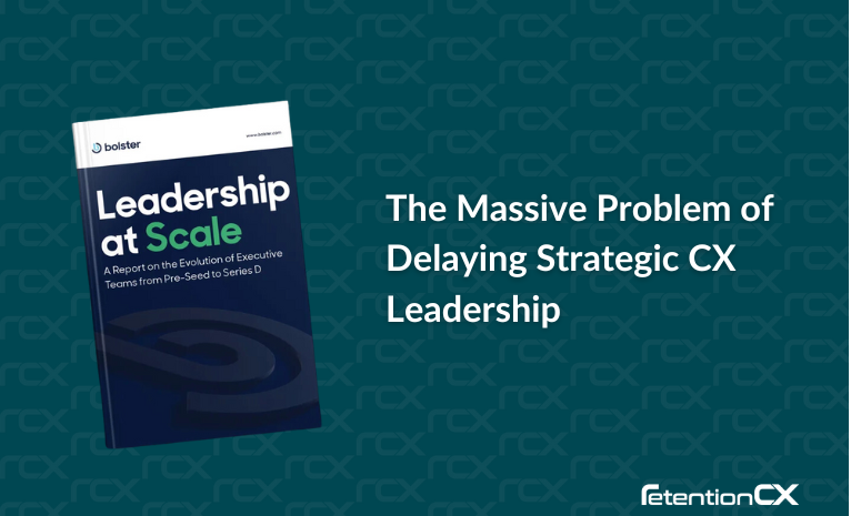 A book cover highlighting the problem of delaying cx leadership hires.