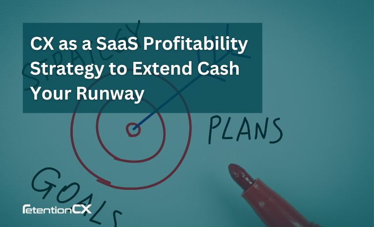 An arrow in the middle of the target with the caption of SaaS profitability strategies for CX.