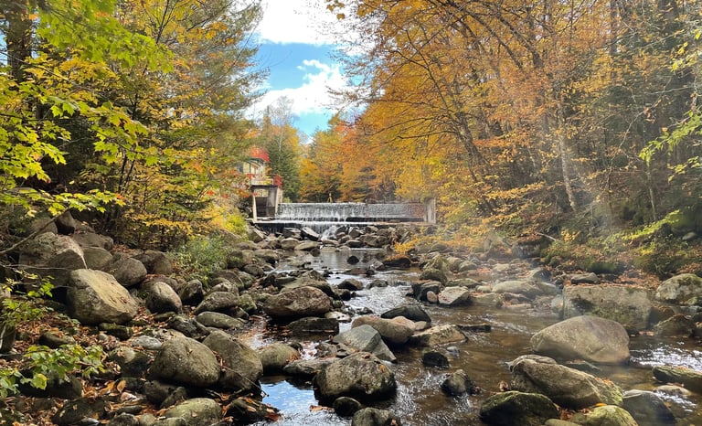 a bridge over a stream in the woods