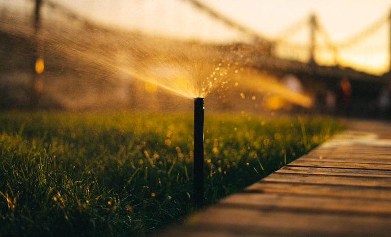 sprinkler winterization company 