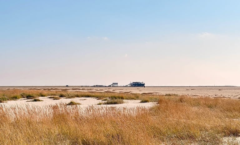 Landschaft am Böhler Strand, Pfahlbauten