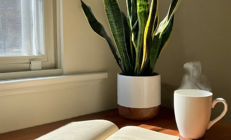 Image of book, plant and steaming coffee cup on desk